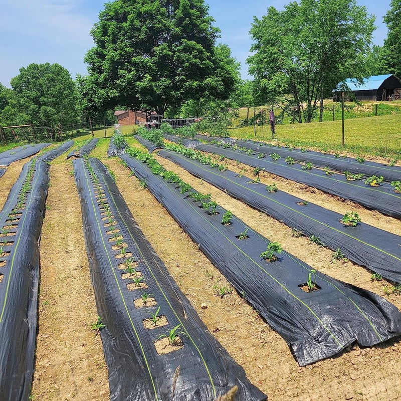 Sunocity Store 1.3ft x 50ft Durable Weed Barrier Fabric, 3oz Heavy-Duty Landscaping Fabric, Permeable Ground Cover for Garden, Lawn, and Outdoor Projects, Easy to Install, with 15 Staples - Image 5